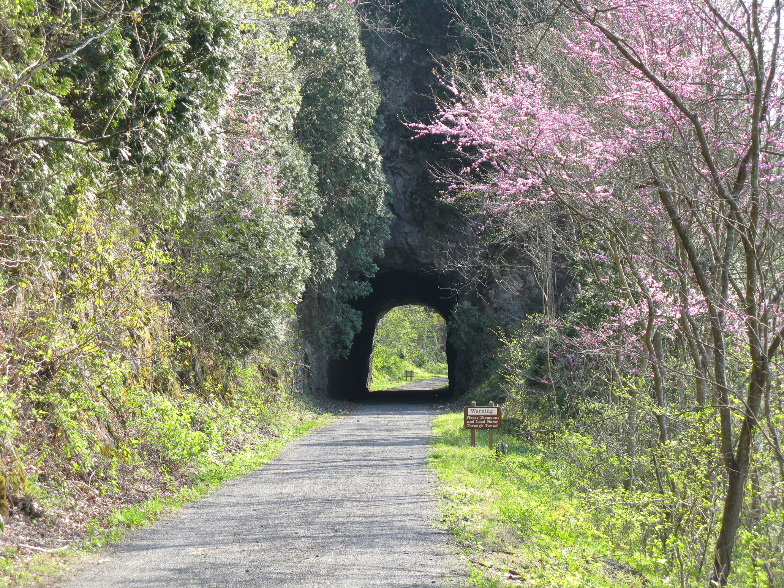 Spring on the New River Trail, WV