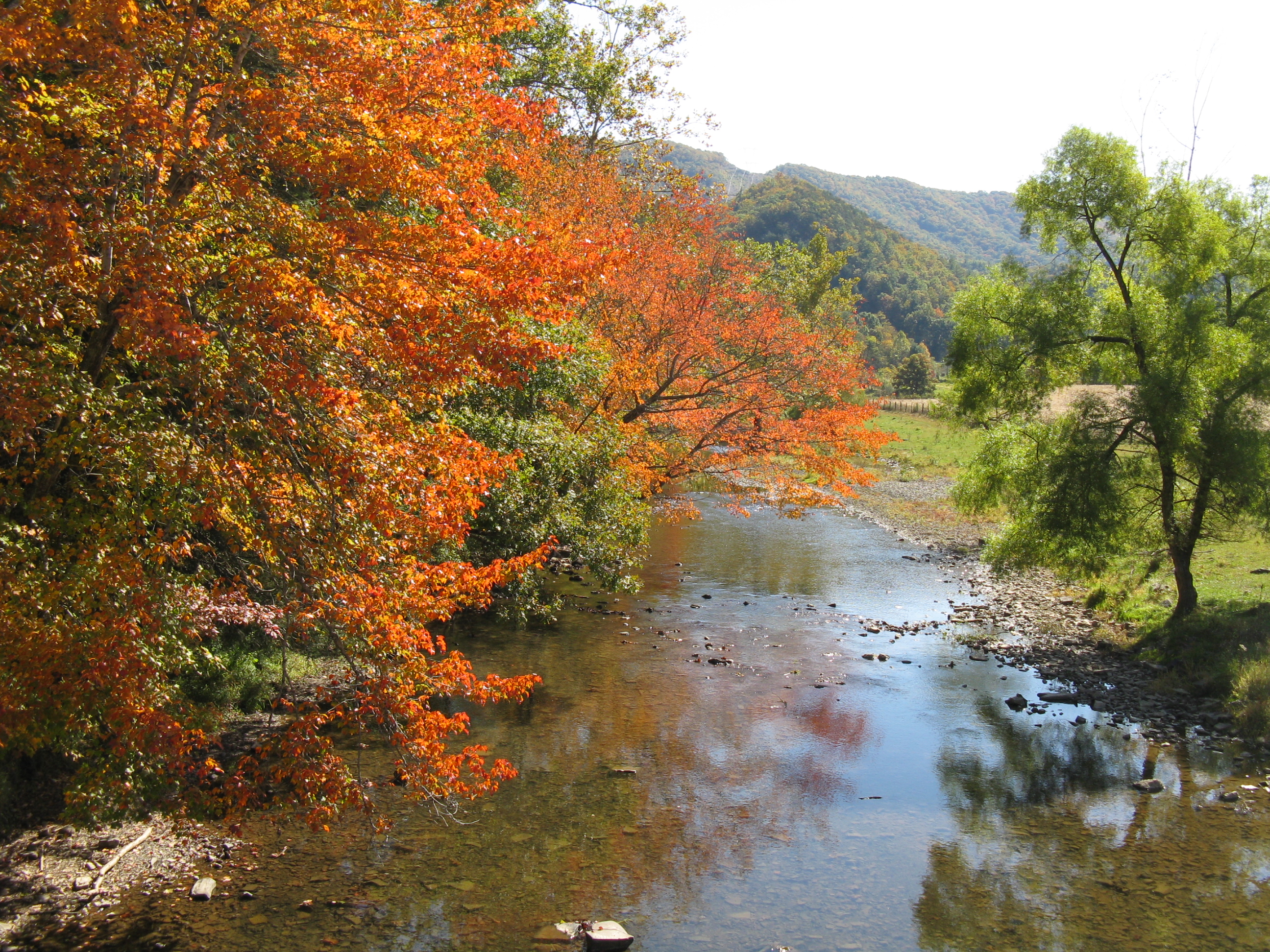 Autumn Color on Wolf Creek